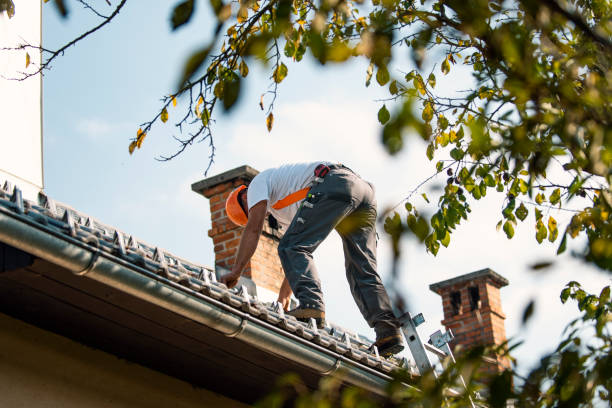 Best Roof Ventilation Installation  in Vidalia, LA