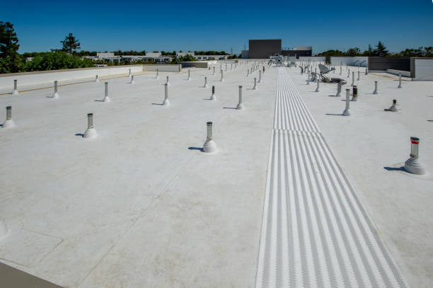 Best Gutter Installation and Repair  in Vidalia, LA